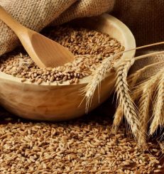 blé commodity general trade