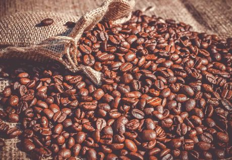 Graine de café