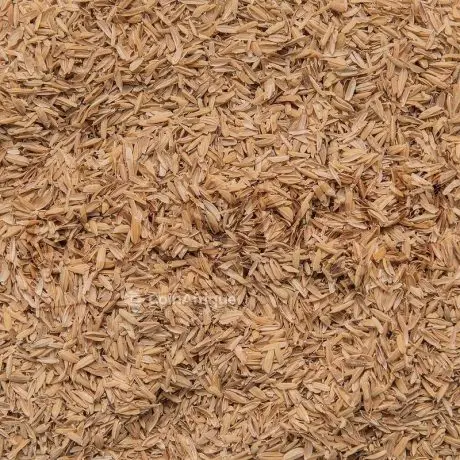 Son de riz