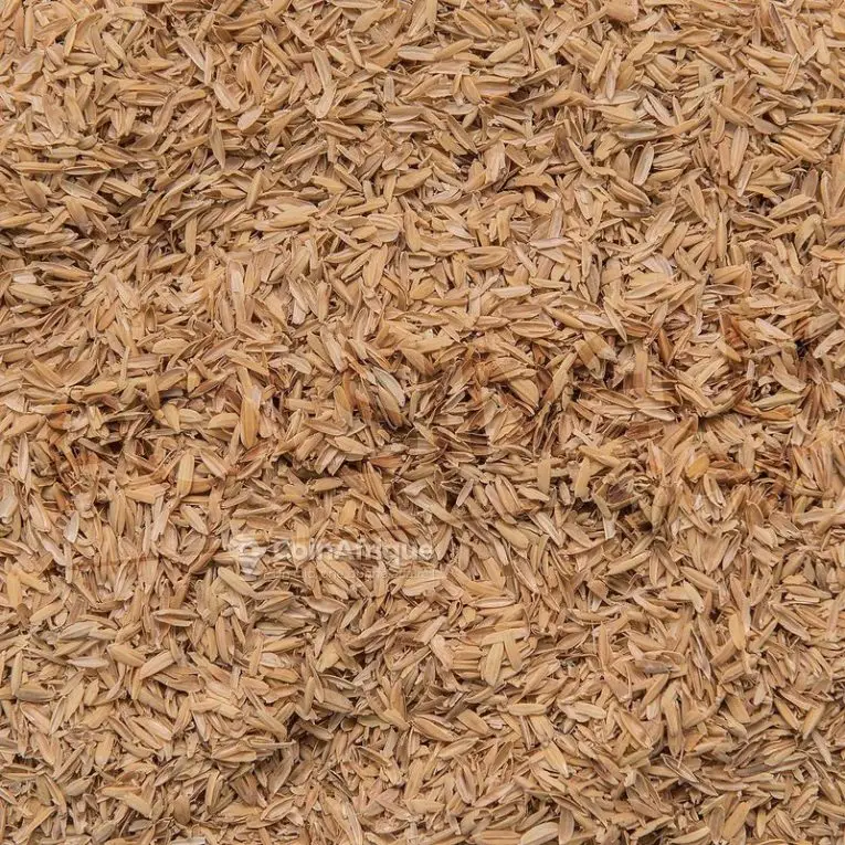 son-de-riz